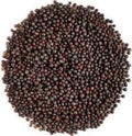Mustard Seed 100g