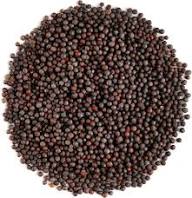 Mustard Seed 100g